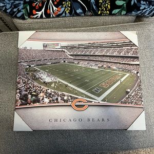 Chicago Bears Soldier Field canvas